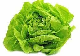 lechuga