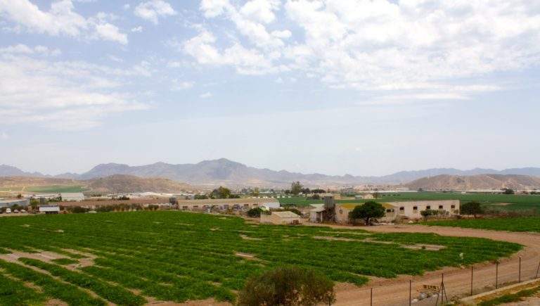 agricultura conservación