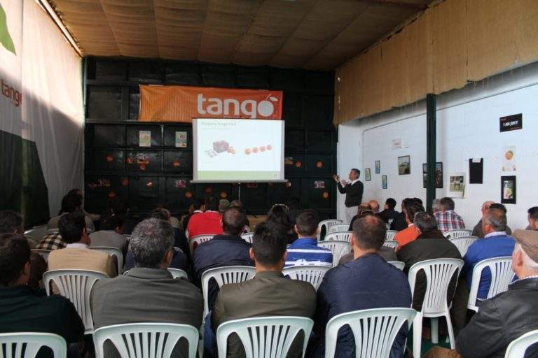 Tango