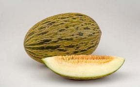 melón