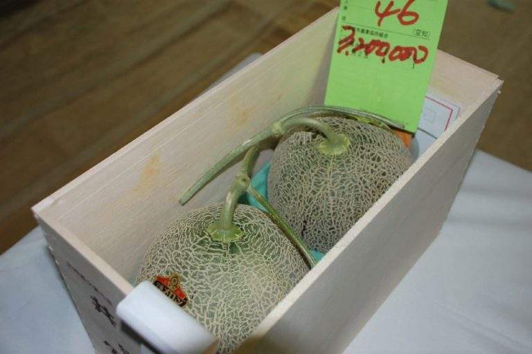 melón