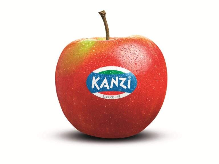 kanzi