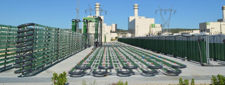 Planta de producción de AlgaEnergy en Cádiz