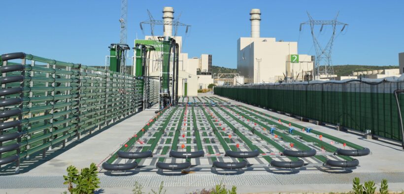 Planta de producción de AlgaEnergy en Cádiz