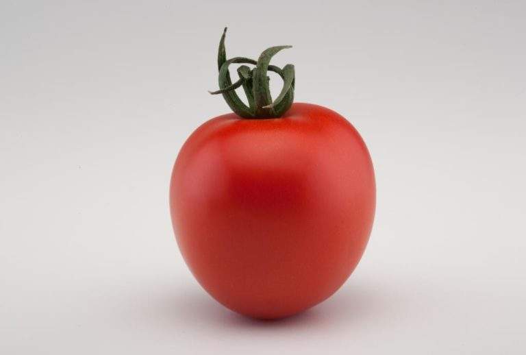 tomate