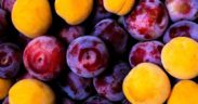Extremadura fruta