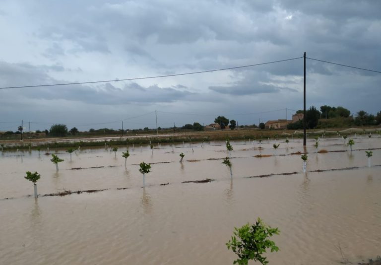 gota fría