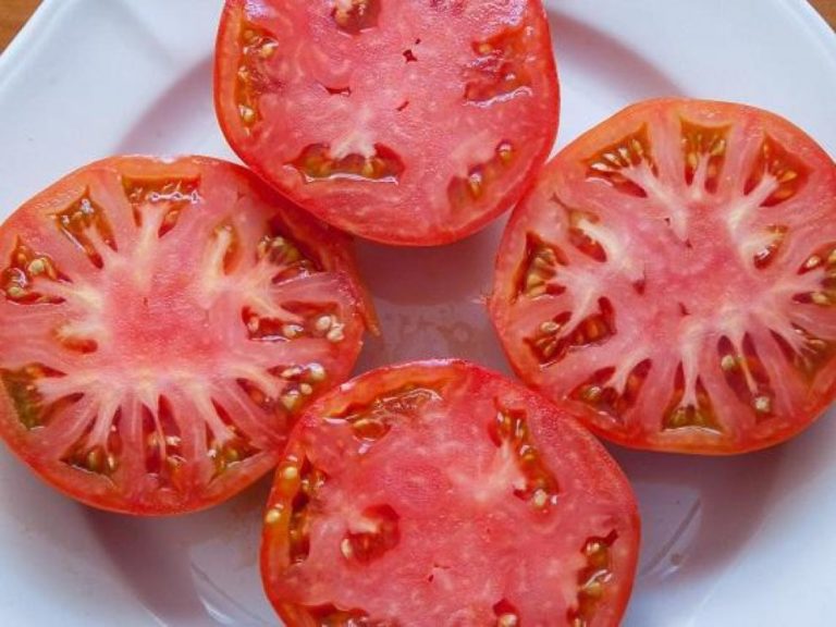 tomate rosa