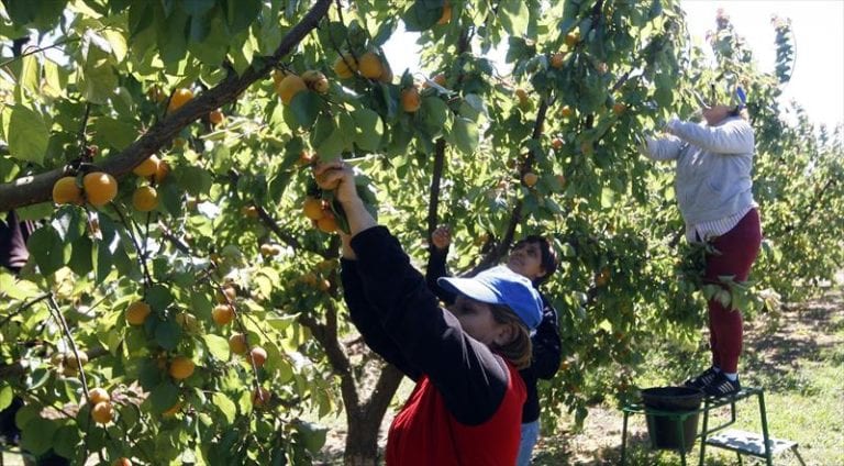 trabajadores