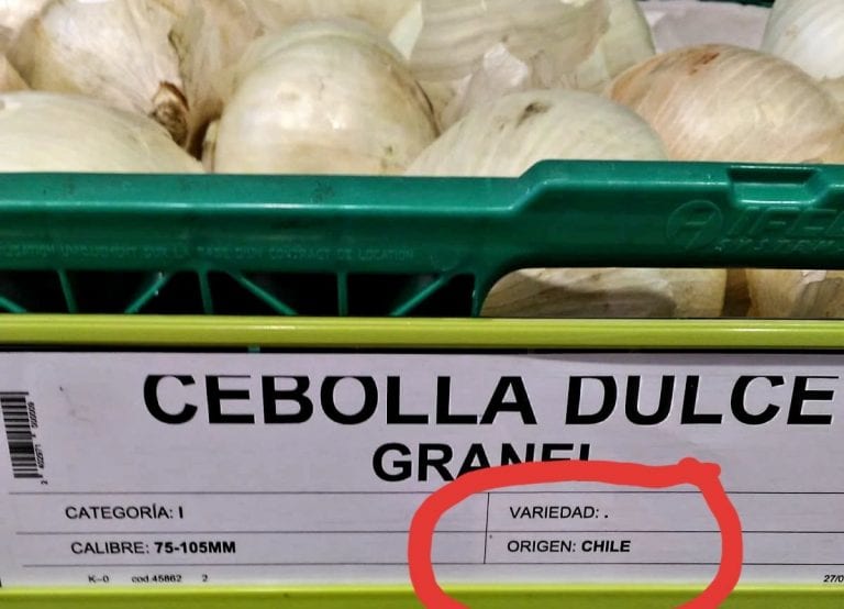 cebolla