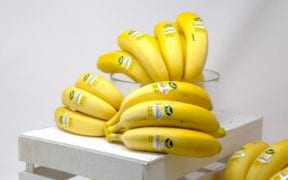 Plátanos Ruiz