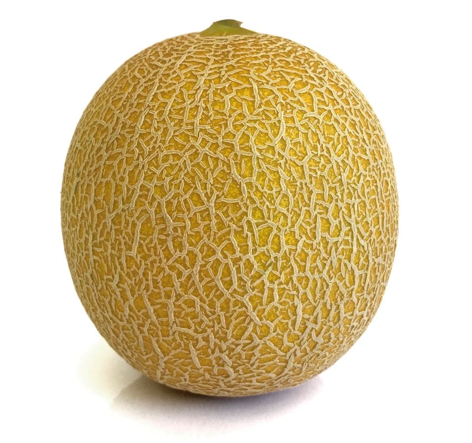 melón