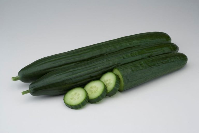 pepino