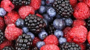 berries balance