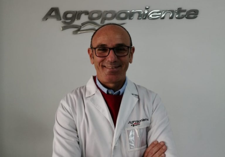 Grupo Agroponiente covid