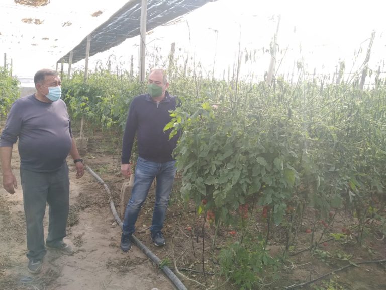 heladas Níjar tomate calabacín