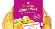 Princesa Amandine patata