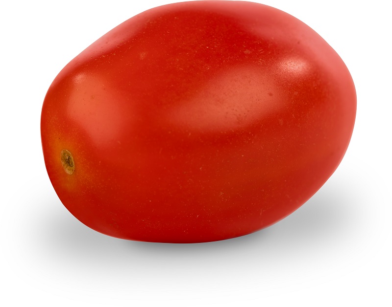Semillas Fitó tomate