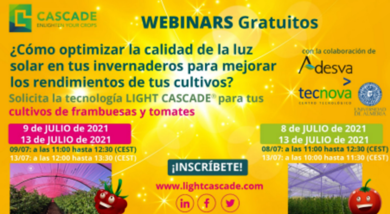 webinar