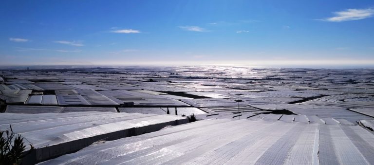 mar de plástico invernaderos