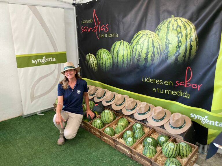 Syngenta melón Murcia