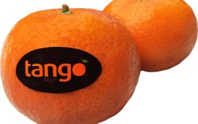 Tango Fruit cítricos
