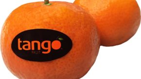 Tango Fruit cítricos