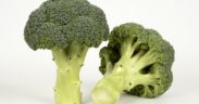 Seminis brócoli