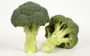 Seminis brócoli