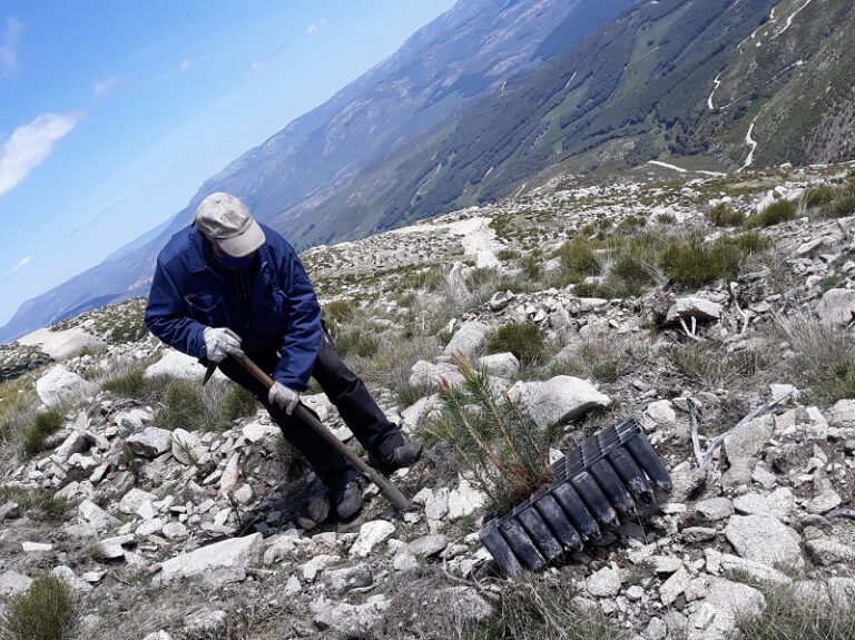 Proyecta Ingenio huella de carbono