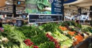 Carrefour hortalizas hoja