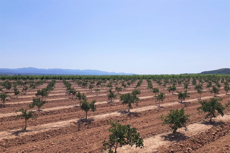 contaminación nitratos