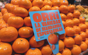 mandarina Orri