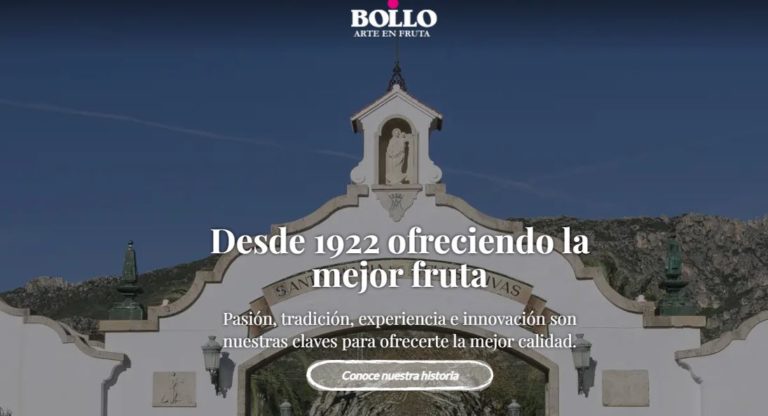 bollo web