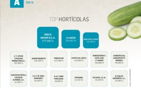 Top Hortícolas