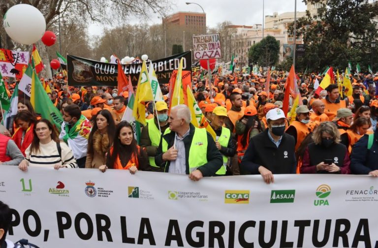 manifestación