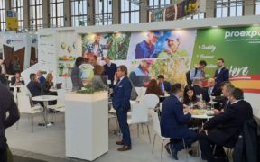 Proexport Fruit logistica