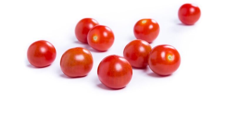 Rijk Zwaan tomate