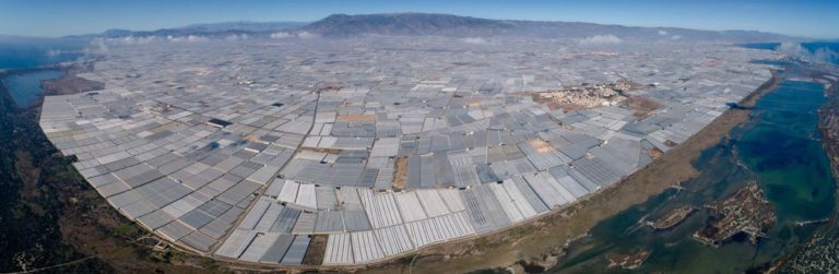 hortiespaña invernaderos solares