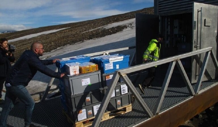 semillas hortícolas banco mundial