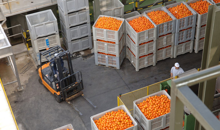 Importación de naranjas