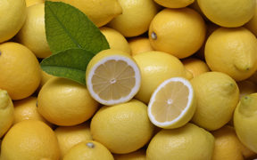 limón Turquía