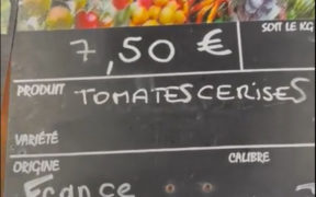 tomate Almería