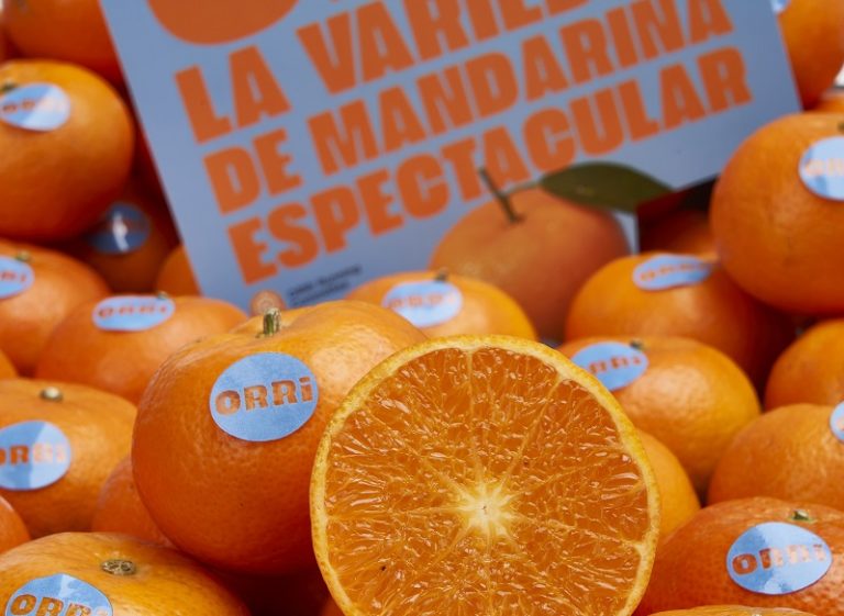 Mandarina ORRI