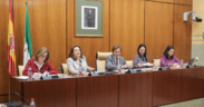 Comisión parlamentaria Andalucía