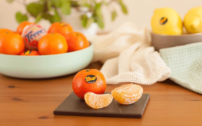 Mandarinas y frutas Torres