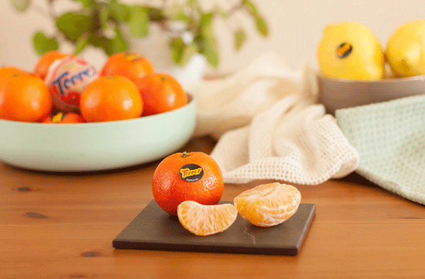 Mandarinas y frutas Torres