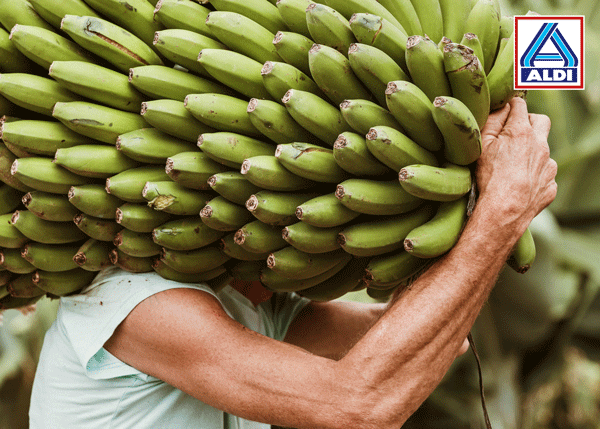 Plátano de Canarias ALDI 