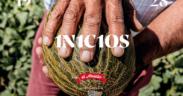 Melones El Abuelo