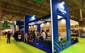 Stand de CapGen Seeds